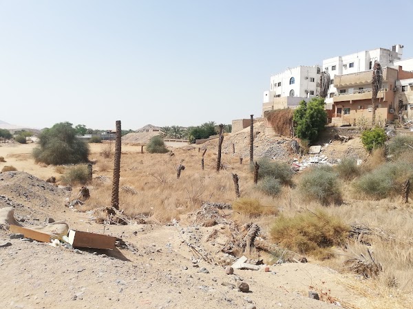 Badr 1