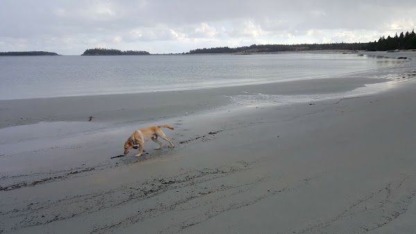 Taylor Head Provincial Park 3