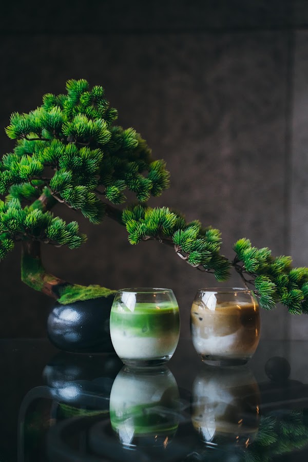 TEAWAVE KYOTO 4