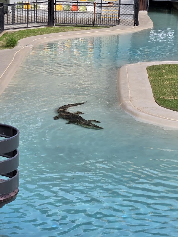 Crocoseum 1