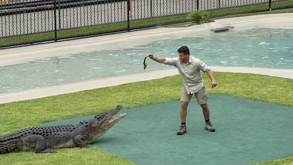 Crocoseum 5