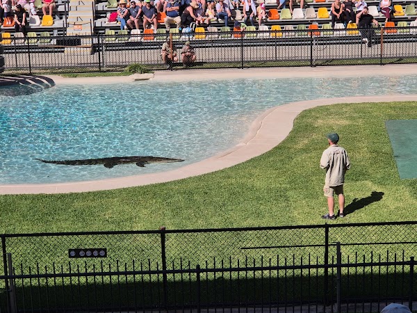 Crocoseum 4