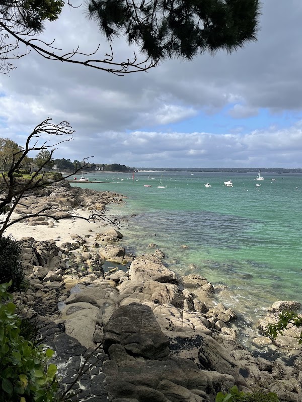 Plage des oiseaux