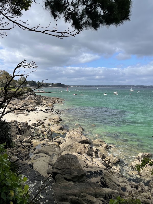 Plage des oiseaux 5
