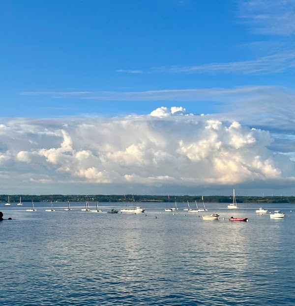 Plage des oiseaux 4
