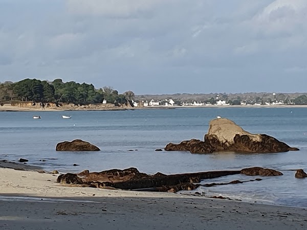 Plage des oiseaux 3