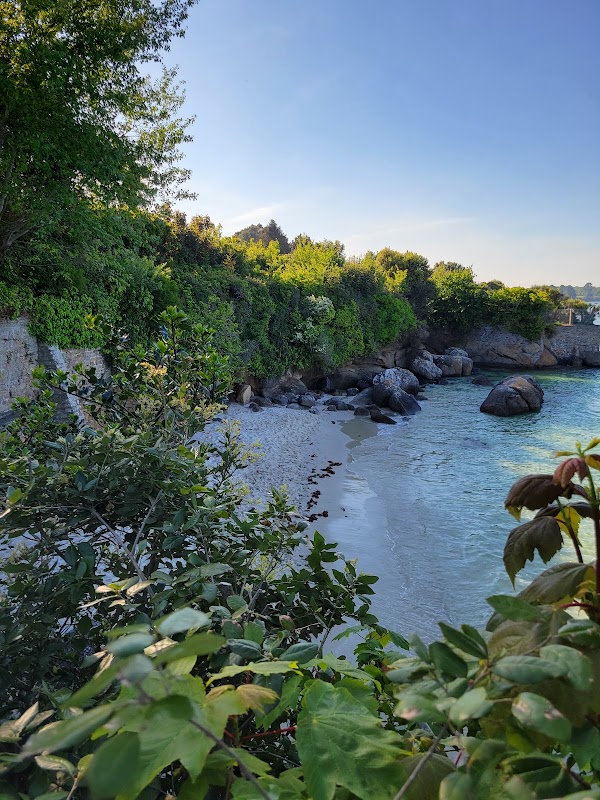 Plage des oiseaux 2