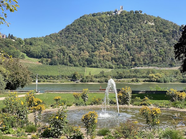 Bonner Rheinuferpromenade 1