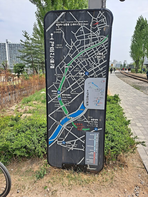 Gyeongchun Line Forest Trail 6