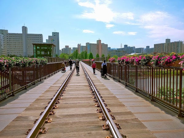 Gyeongchun Line Forest Trail 4