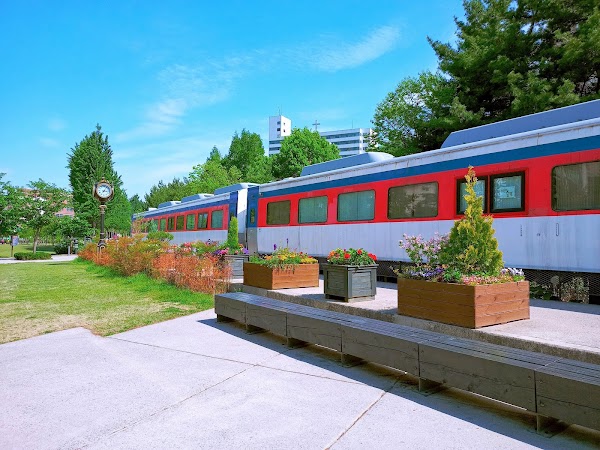 Gyeongchun Line Forest Trail 3