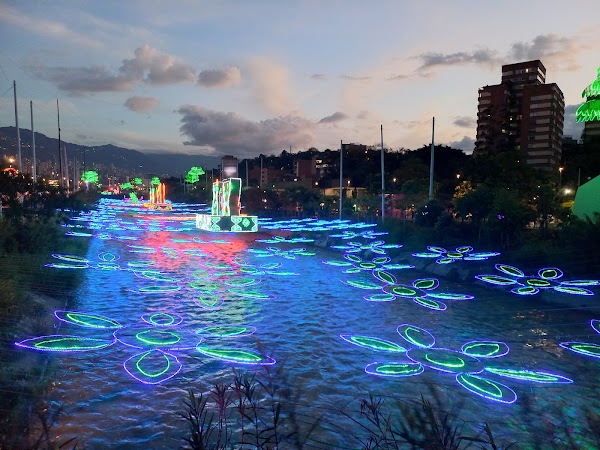 Medellín 4