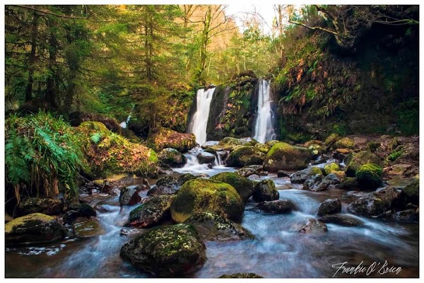 Coolalingo Waterfalls