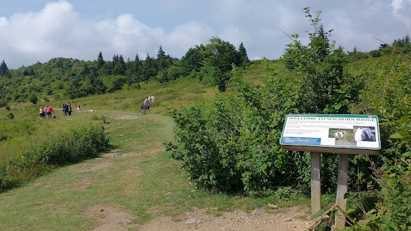 Wilburn Ridge 4
