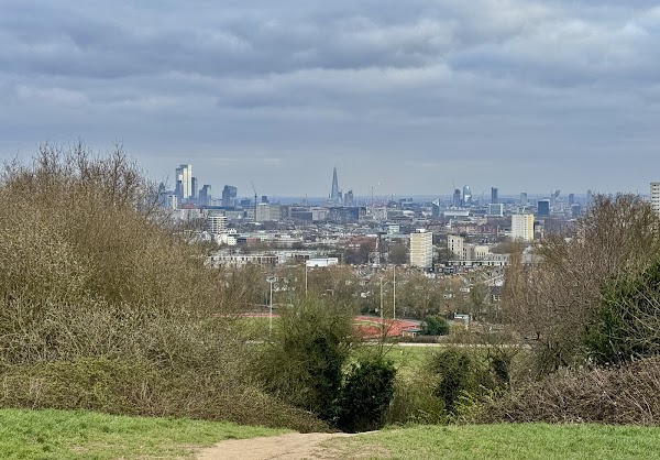 Parliament Hill Fields 1