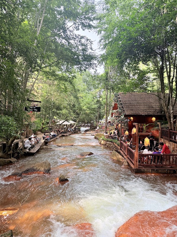 Tiệm Trà Thông Mơ