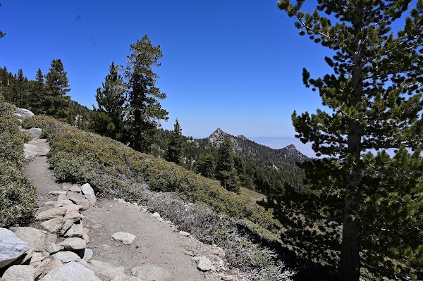 Mount San Jacinto 3