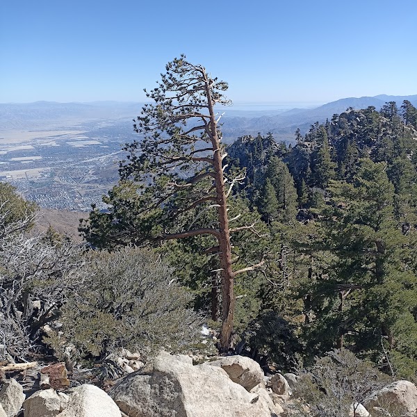 Mount San Jacinto 2