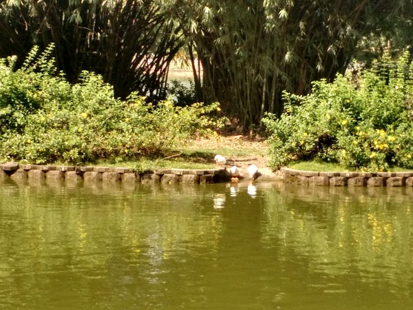 Perdana Botanical Gardens 5