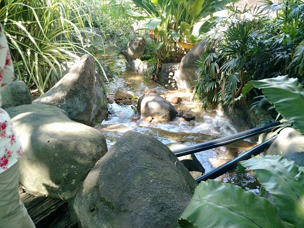 Perdana Botanical Gardens 4