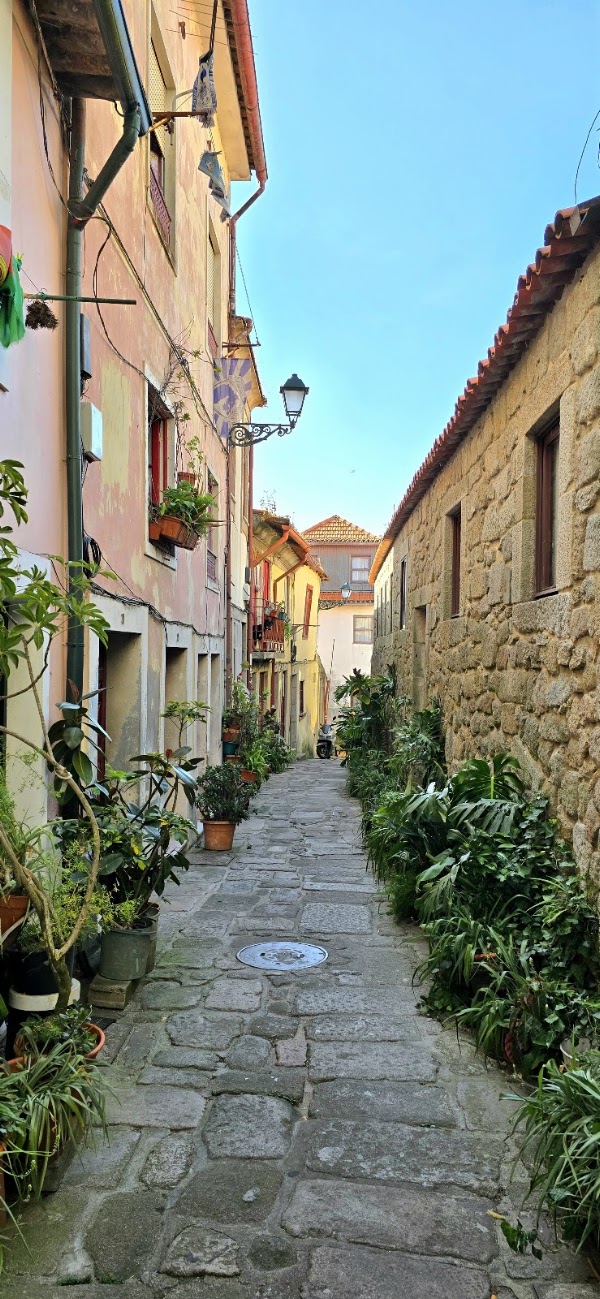 Miradouro da Rua das Aldas 5