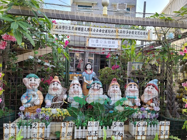 Tai O 5