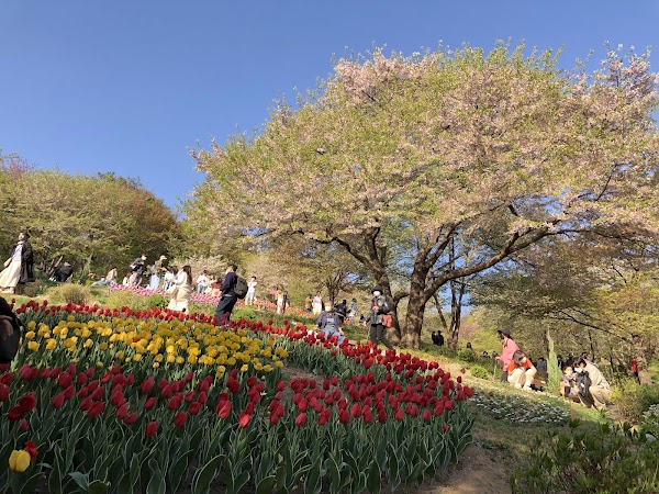 Ansan Urban Natural Park 5