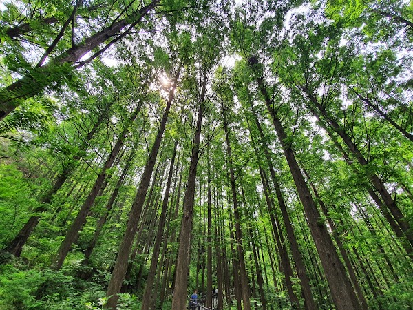Ansan Urban Natural Park 4