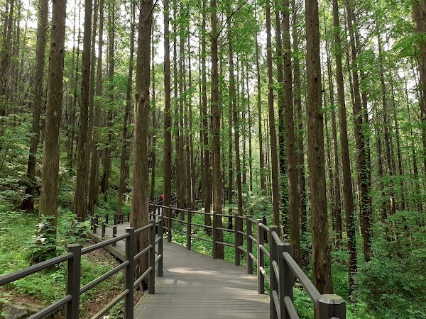 Ansan Urban Natural Park 3