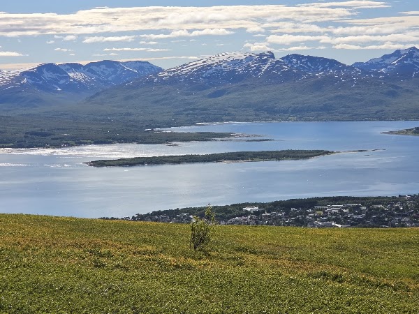 Tromsø Viewpoint 4