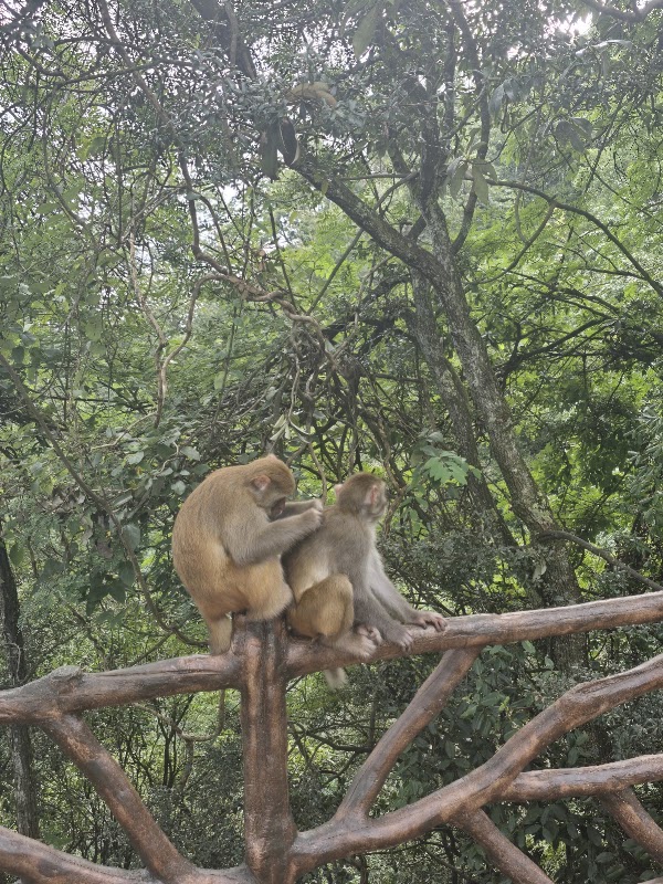 Huangshizhai 3