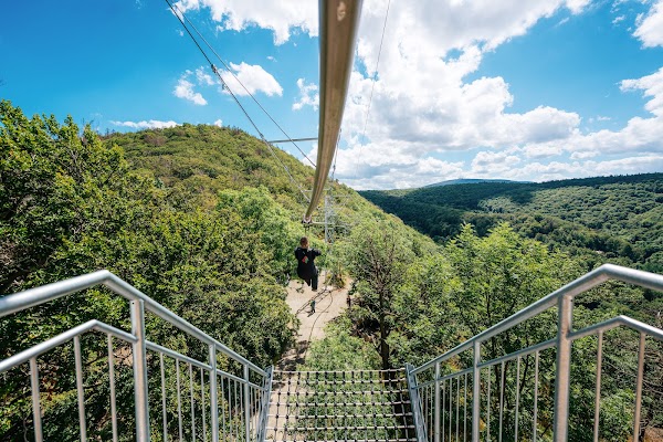 Tree-top cable car Bad Harzburg