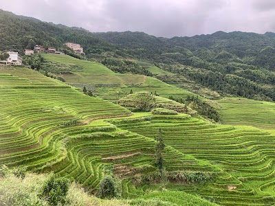 Longji Rice Terrace Scenic Spot 1