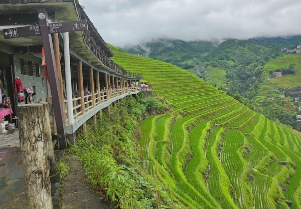 Longji Rice Terrace Scenic Spot 4