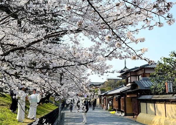 Kodaiji Park 5