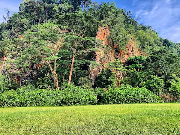 Bukit Timah Mountain Bike Trail 1