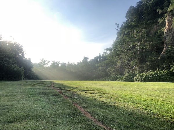 Bukit Timah Mountain Bike Trail 4