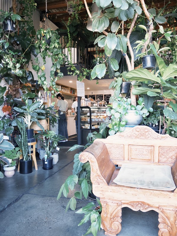 epilo - Coffee & Plants 3