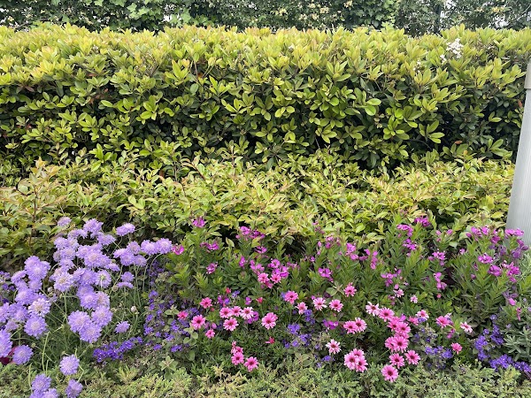 Tenku-no-noen Farm, 1