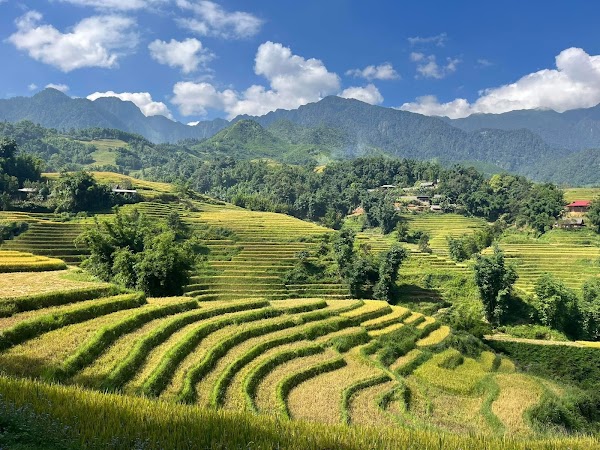Mường Hoa Valley 1