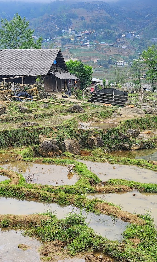 Mường Hoa Valley 2