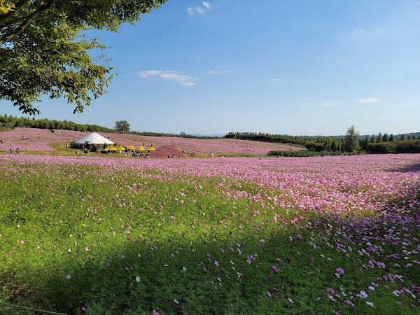 Agroland Taeshin Farm