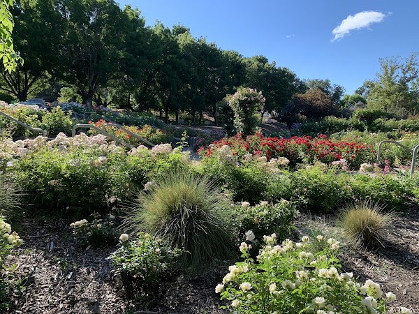 The Cowden Rose Garden