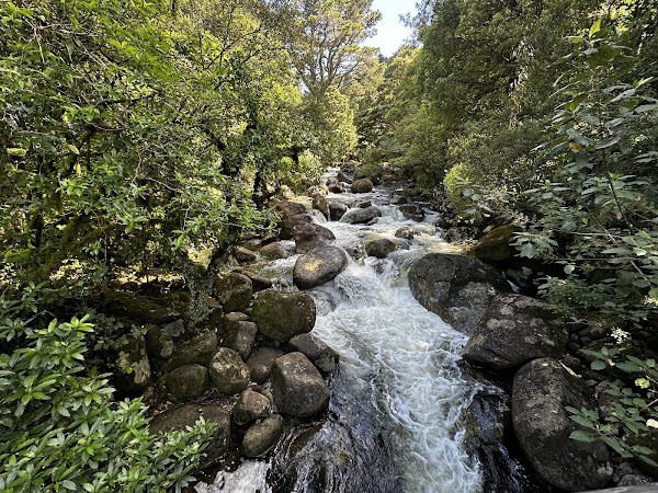 Wairere Falls Trail Head 1