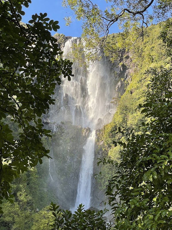 Wairere Falls Trail Head 5