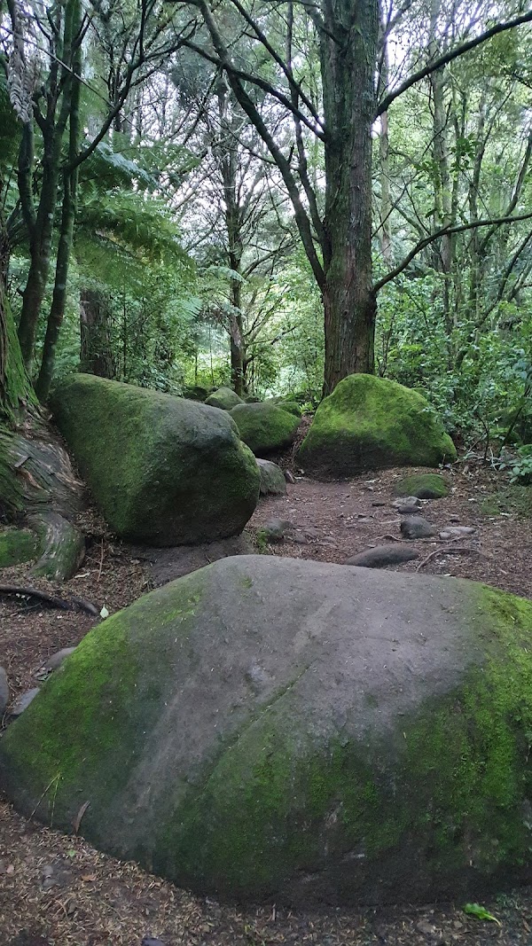 Wairere Falls Trail Head 3