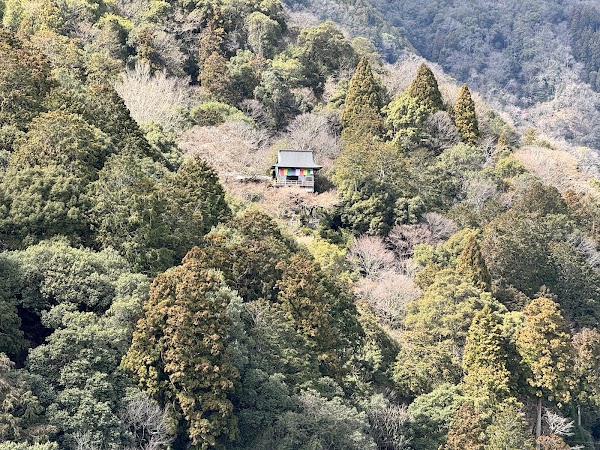 Arashiyama Park viewpoint 5
