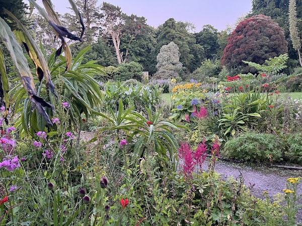 Achamore Gardens