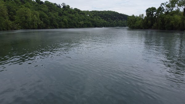 Lake Taneycomo