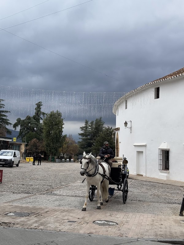 Fuente y estatua de Hércules 3